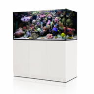 Aquarien